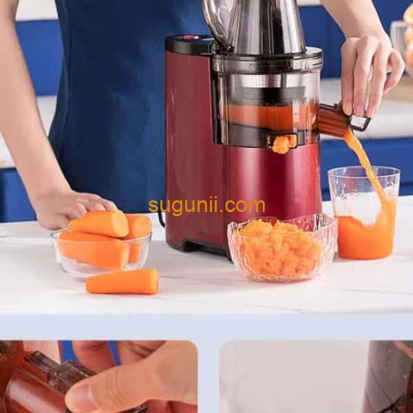 extracteur de jus raf 4