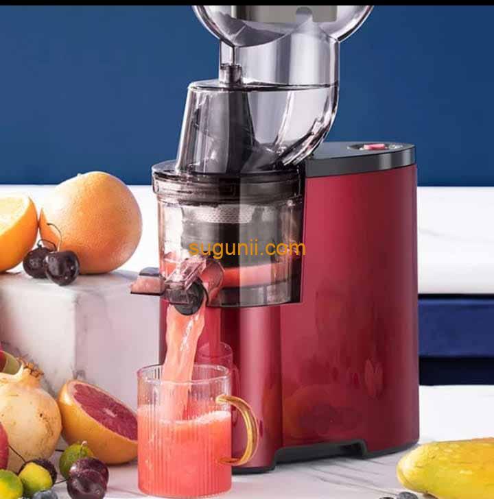 Extracteur de jus raf 5