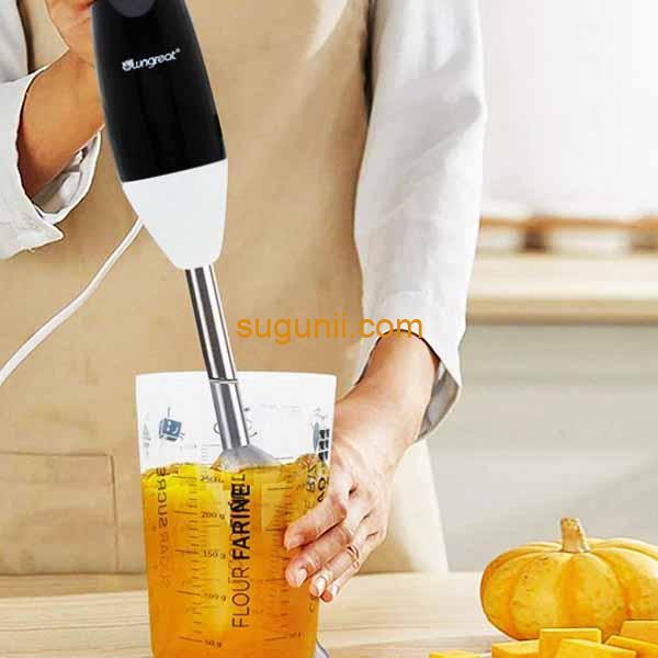 Mixeur à main OG-HB101 OwnGreat 2