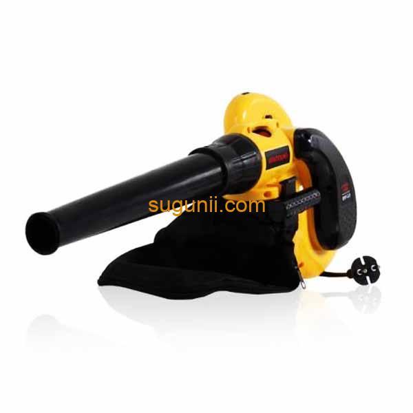 Aspirateur Souffleur Professionnel Q1F-3.5 d