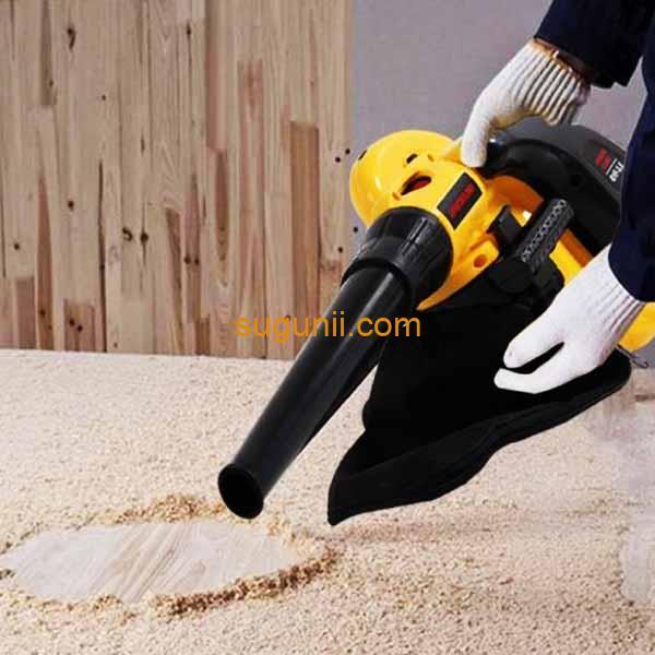 Aspirateur Souffleur Professionnel Q1F-3.5 e