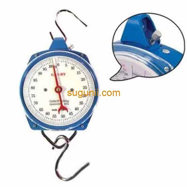 Balance Suspendue 100Kg Avec Crochet 2