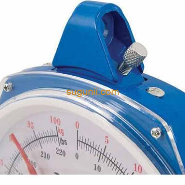 Balance Suspendue 100Kg Avec Crochet 3