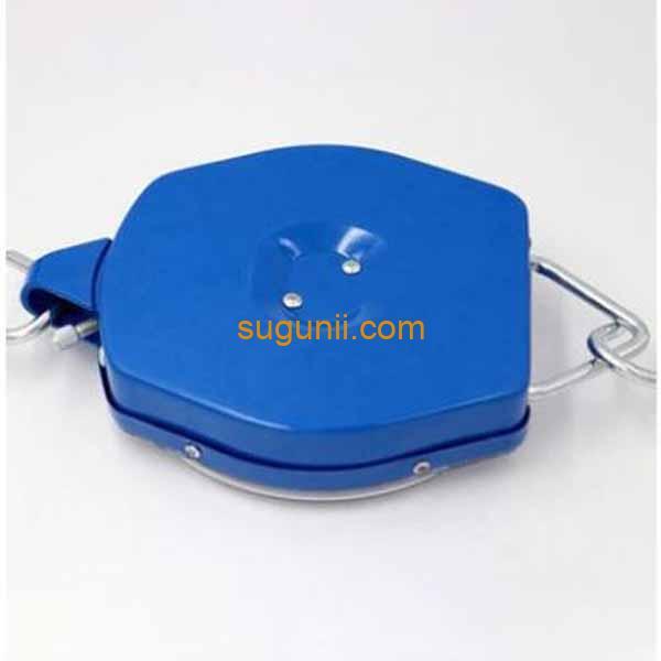 Balance Suspendue 100Kg Avec Crochet 4