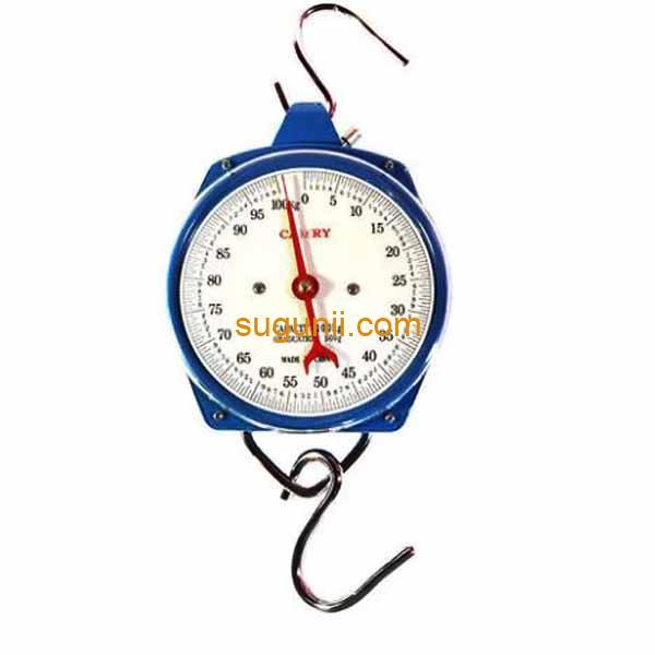 Balance Suspendue 100Kg Avec Crochet