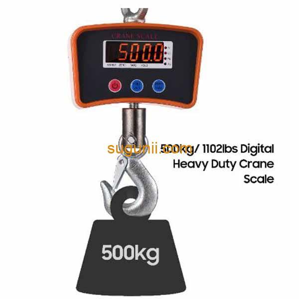 Balance à grue numérique 500Kg 2