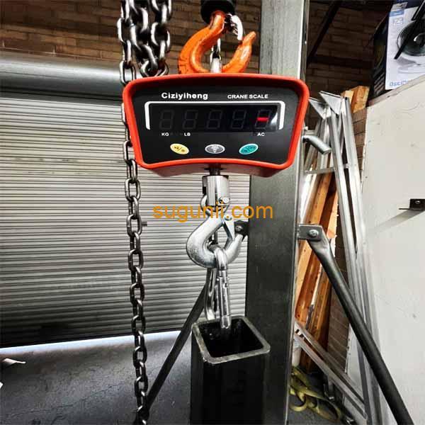 Balance à grue numérique 500Kg 4