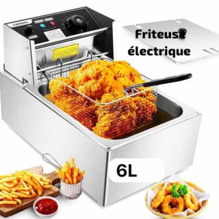 Friteuse électrique 6L 2