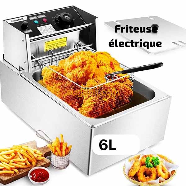 Friteuse électrique 6L 2