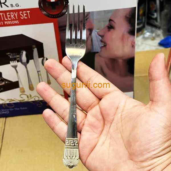 72pcs ensemble couverts Hoffmayer 4