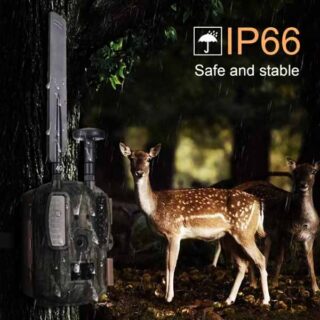 Caméras de chasse - Surveillance de la faune Balever BL480-P