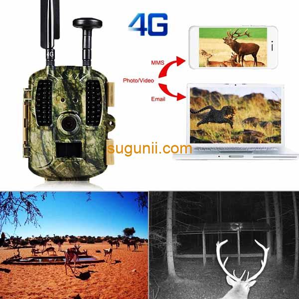 Caméras de chasse - Surveillance de la faune Balever BL480-P 5