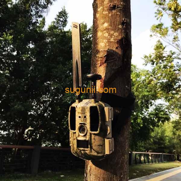 Caméras de chasse - Surveillance de la faune Balever BL480-P 8