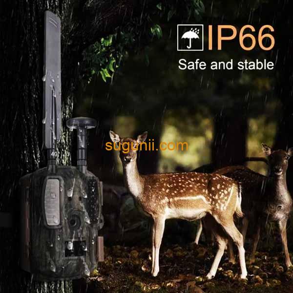 Caméras de chasse - Surveillance de la faune Balever BL480-P