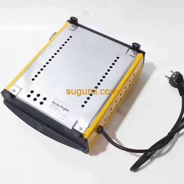 Réchaud électrique multifonctionnelle Disine Regina 4