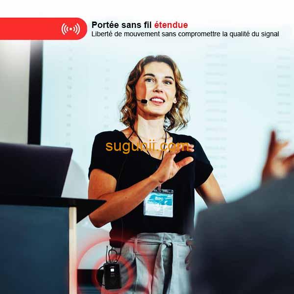 Système de microphones sans fil LECXO UHF-1030 b
