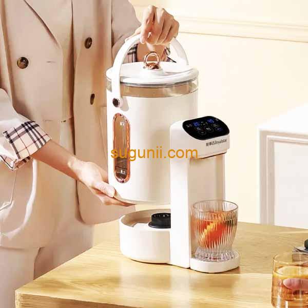 Bouilloire électrique 3L RAF R.7561 b