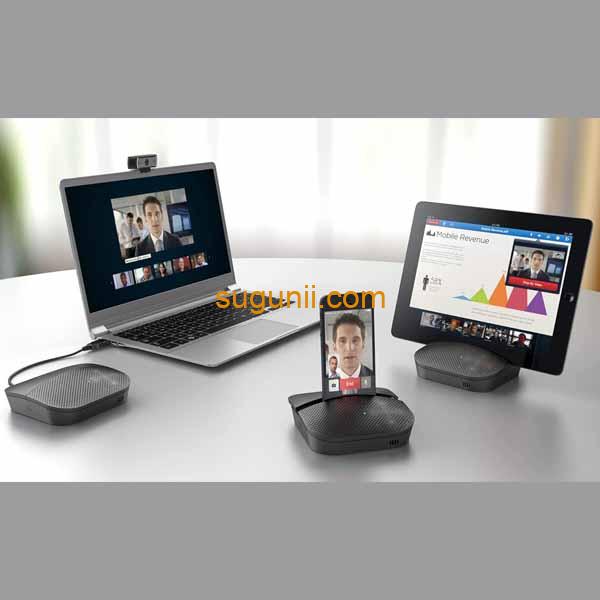 Haut-parleur mobile Logitech P710e 2