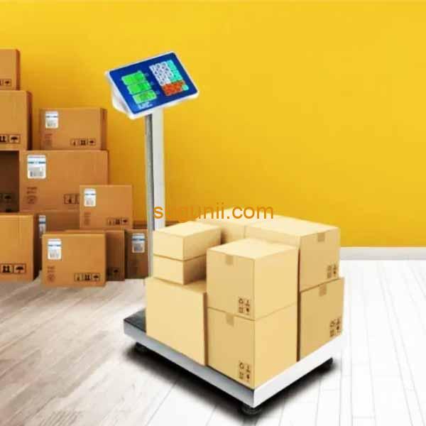 Balance à plate-forme numérique 500kg 2