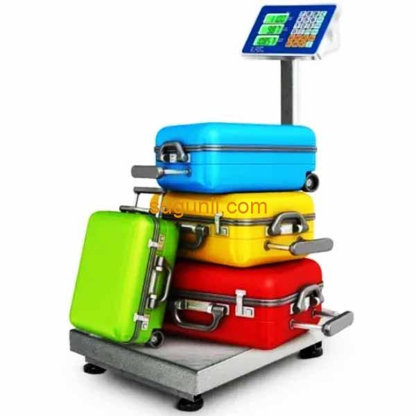 Balance à plate-forme numérique 500kg 3