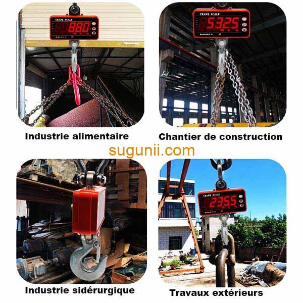 Balance suspendue numérique 1 tonne | 1 000 kg 3