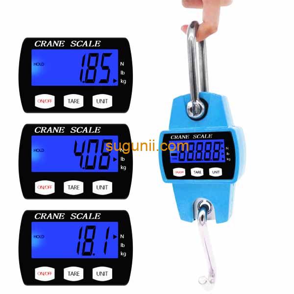 Balance suspendue numérique 200kg 2