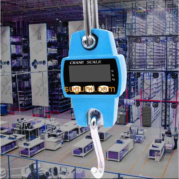 Balance suspendue numérique 200kg 4