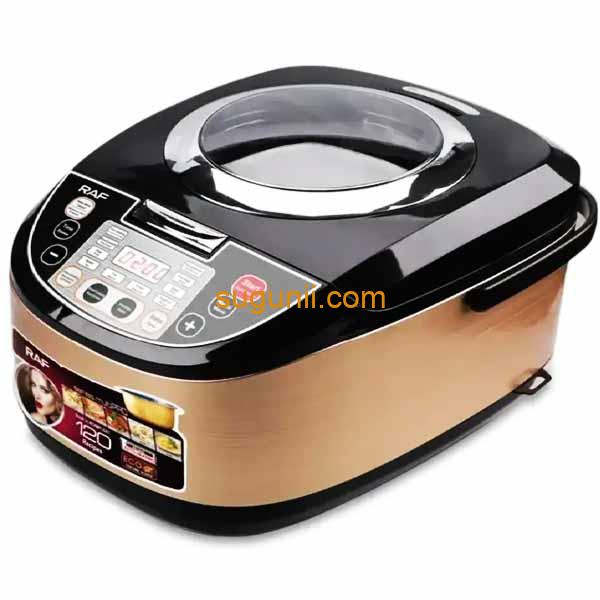 Multicuiseur 5L RAF 3