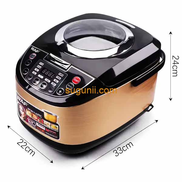 Multicuiseur 5L RAF 4