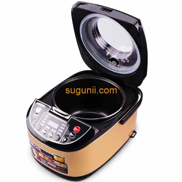 Multicuiseur 5L RAF 5