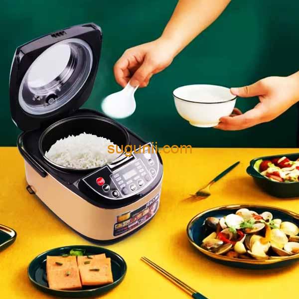 Multicuiseur 5L RAF 6