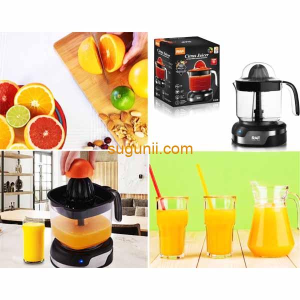 Presse-agrumes électrique portable 1.2L RAF R.638 c