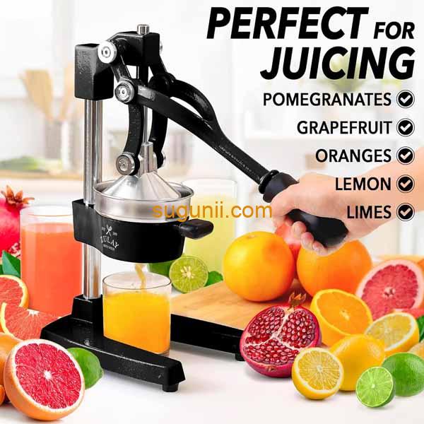 Presse-agrumes manuel professionnel 2