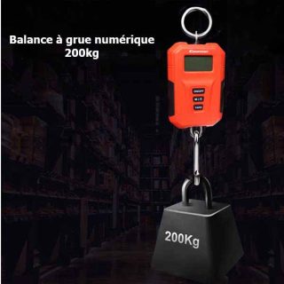Balance à grue numérique 200kg