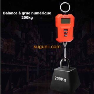 Balance à grue numérique 200kg