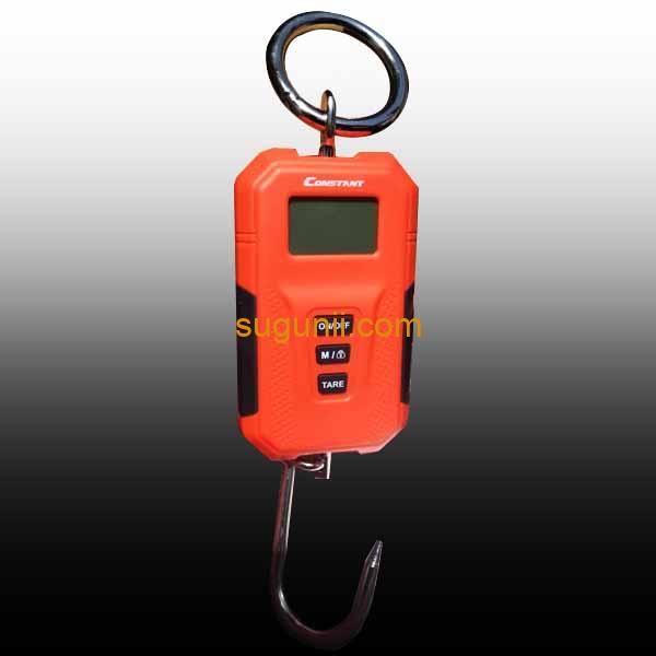 Balance à grue numérique 200kg 2