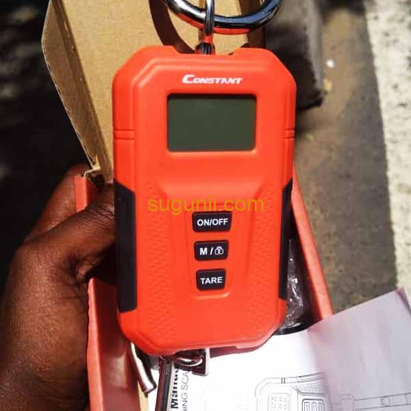 Balance à grue numérique 200kg 3