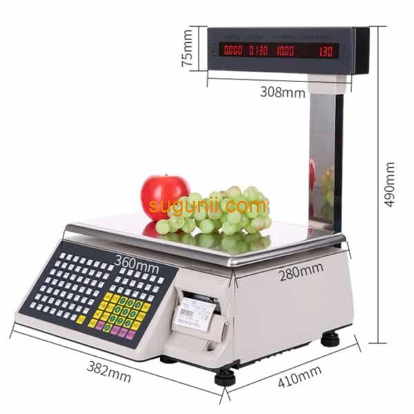 Balance Électronique 30kg avec Imprimante Intégrée 2