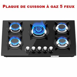 Plaque de Cuisson à Gaz 5 Feux Encastrable