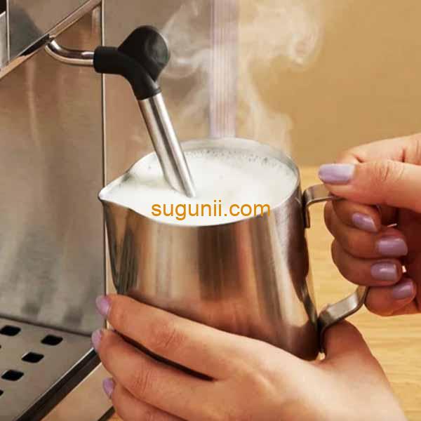 Machine à Café Expresso BOMA BM-6879 f