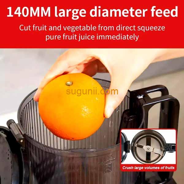 Extracteur de Jus à Froid 800W 3