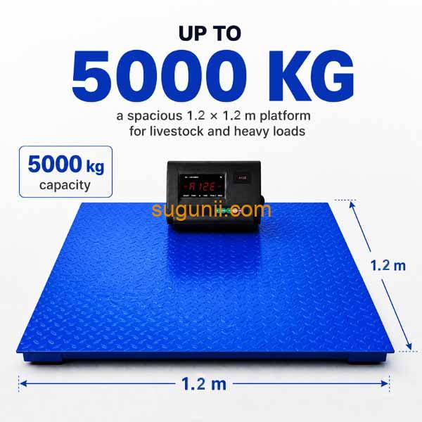 Balance Industrielle au Sol – Capacités 3 Tonnes (3000 kg) et 5 Tonnes (5000 kg) 2