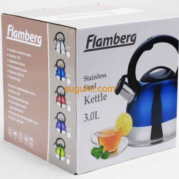 Bouilloire à Sifflet en Acier Inoxydable 3L 2