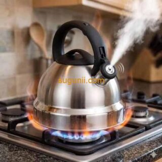 Bouilloire à Sifflet en Acier Inoxydable 3L