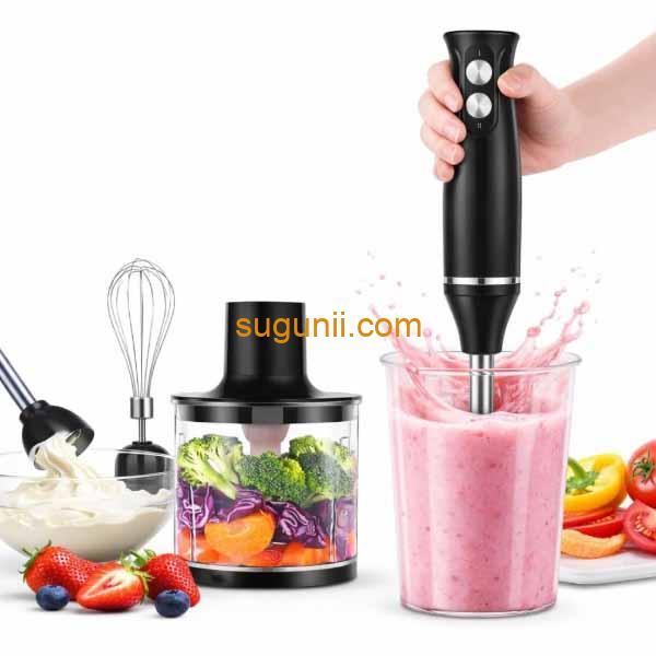 Ensemble Blender RAF 5-en-1 b
