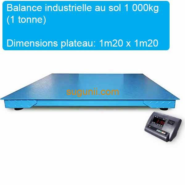 Balance Industrielle au Sol – Capacité 1 Tonne
