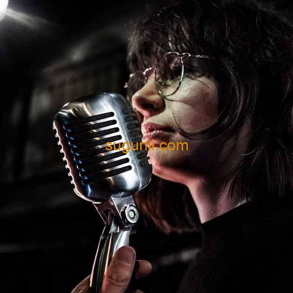 Shure 55SH Series II – Microphone Dynamique Vintage « Micro d'Elvis » 5
